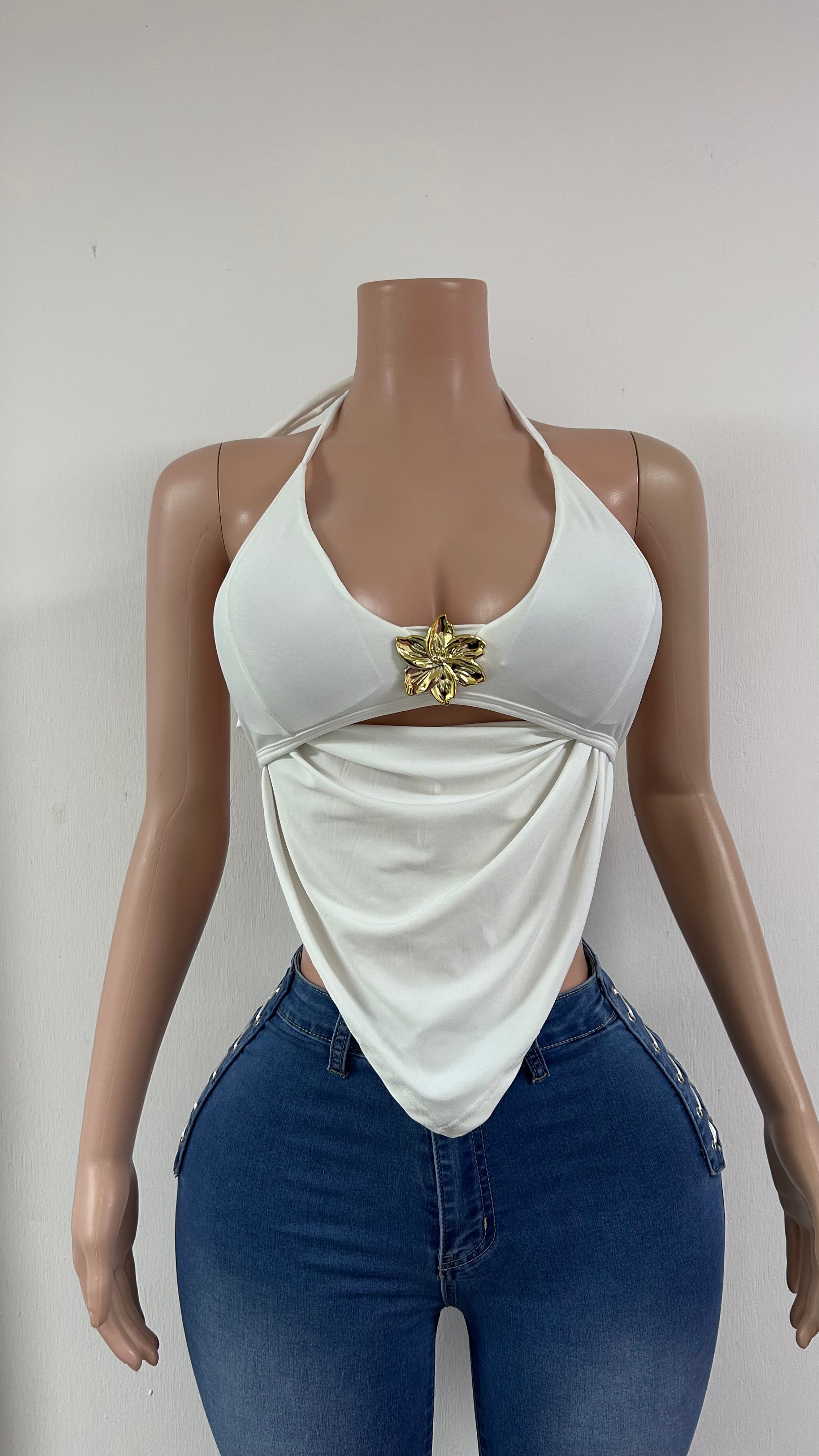 CROP BRASILEÑO